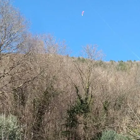 招待所 Vololiberoapartments