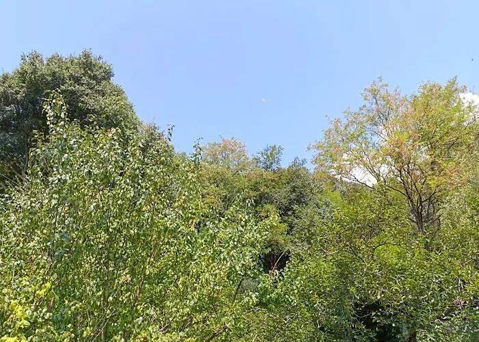 Vololiberoapartments 3* Borso del Grappa